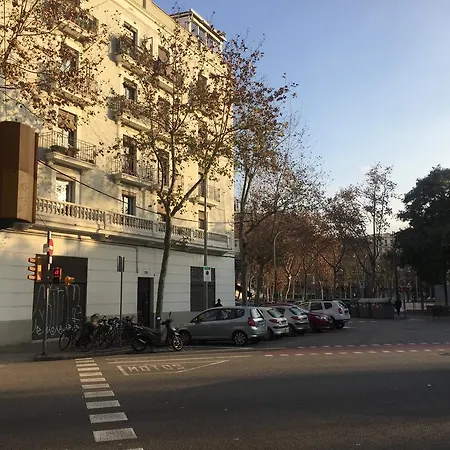 Dali *
