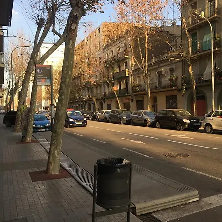 Dali דירה
