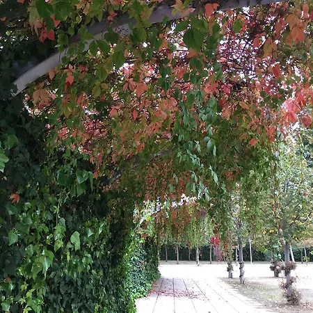 Dali Lejlighed Barcelona